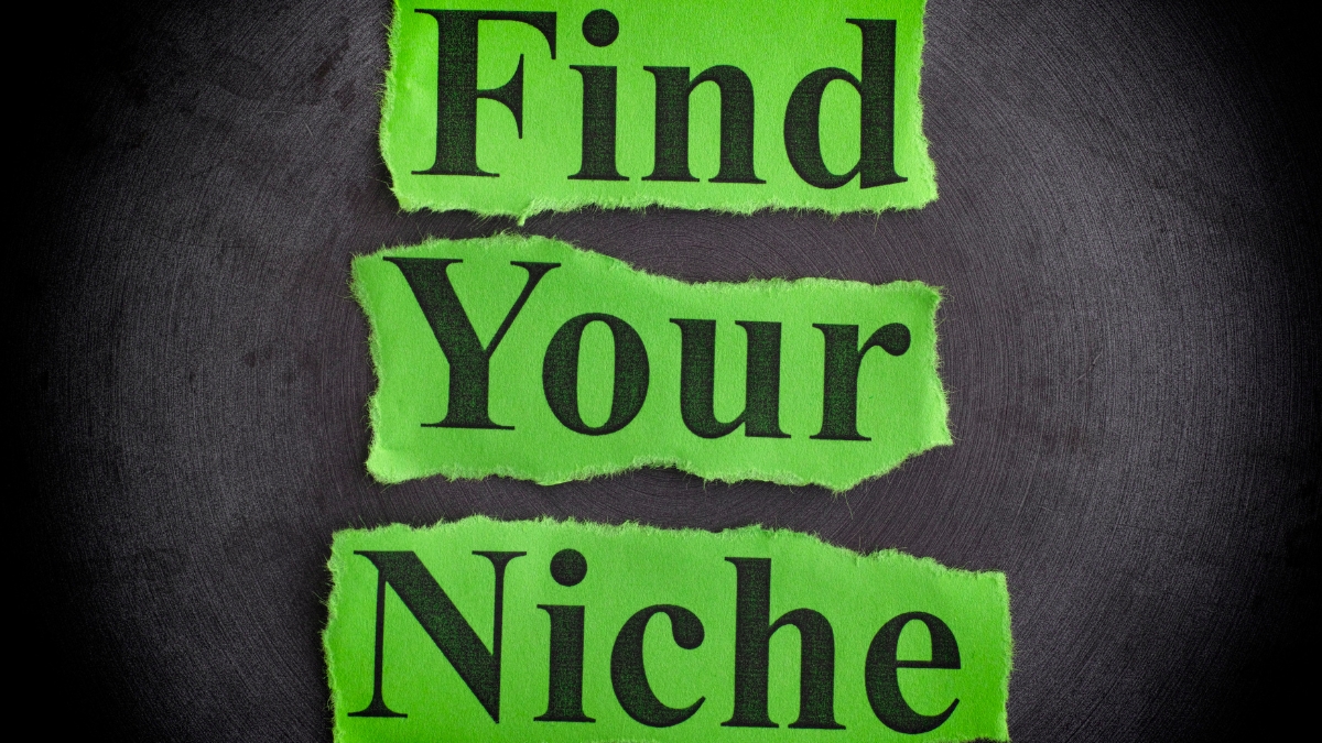 Develop a Profitable Niche Product